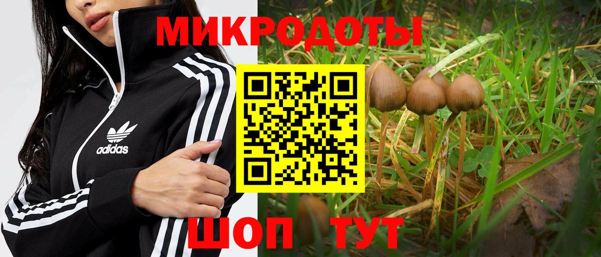 Полевской  Псилоцибиновые грибы Cubensis  Вход с VPN 